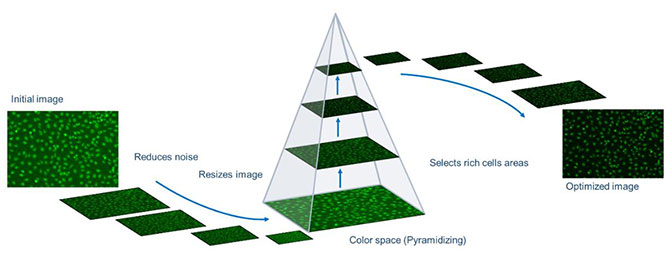 ts-14.jpg ts-14.jpg