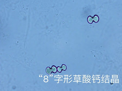 kp0809-1.jpg