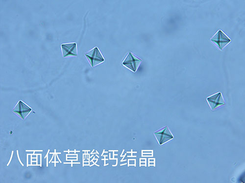 kp0809-2.jpg
