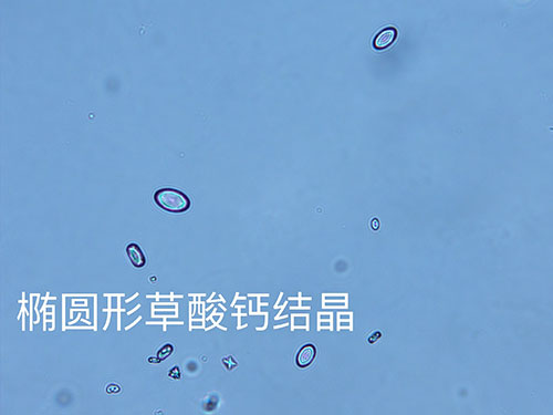 kp0809-3.jpg