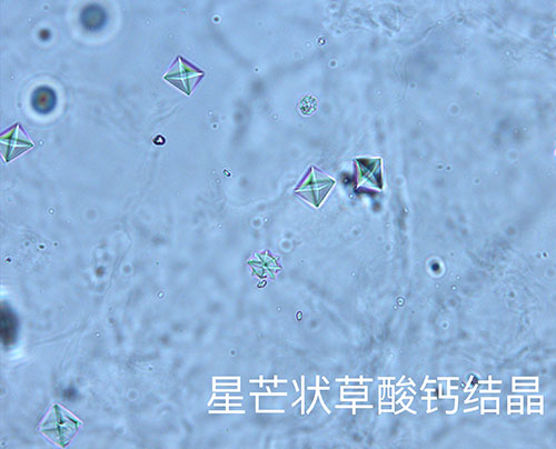 kp0809-4.jpg