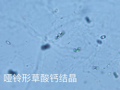 kp0809-5.jpg