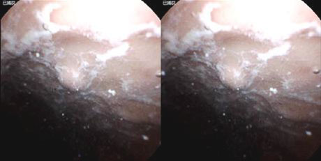 20250321-7.jpg 20250321-7.jpg