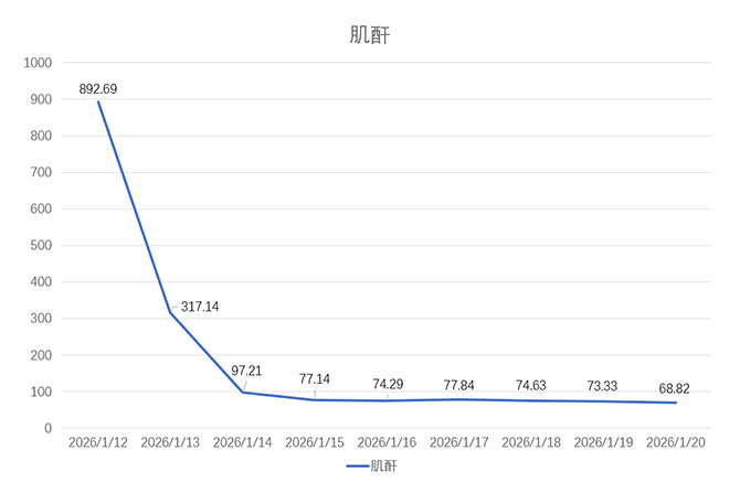 20260313-8.jpg