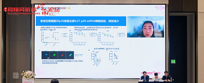 20260325-26.jpg